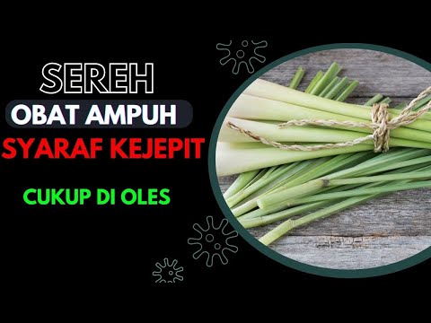 Video: Rumpai spurge bertompok: Cara Menghilangkan spurge bertompok