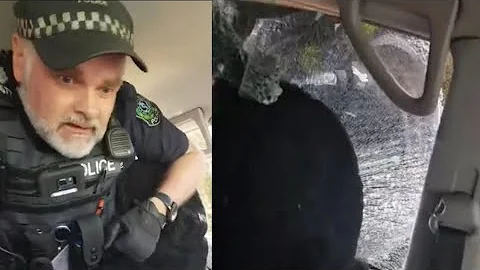 Cops Break Sovereign Citizens Car Window When He Refuses To Leave His Vehicle