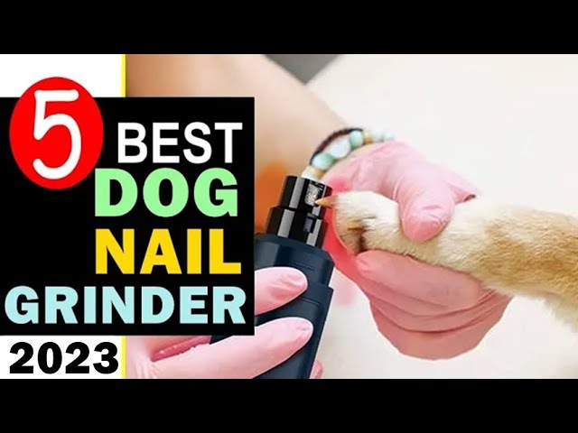 Dog Nail Grinder Review  Our Secret Weapon for Painless Trims