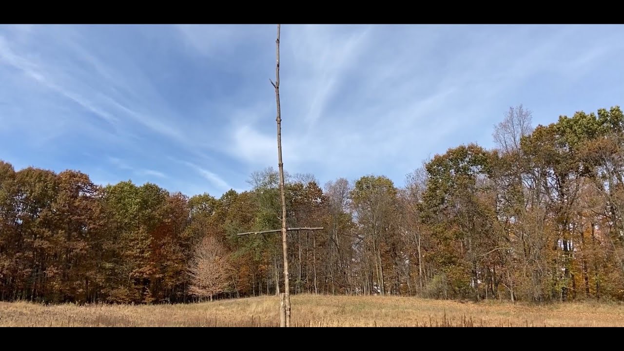 OldGuyDIY Build Raptor Perch for Hawk, Owl, Eagle In Field w Blown down ...