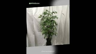 4 Foot Artificial Silk Bamboo Palm Tree Custom Made on Natural Wood