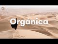 Unique playlists  orgnica dj set mix by ben  vincent  organic house  ethnic house