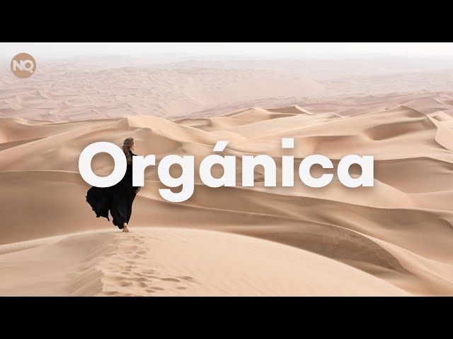 unique playlists - Orgánica DJ SET (mix by Ben & Vincent) - [Organic House - Ethnic House] class=