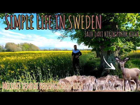 SIMPLE LIFE IN SWEDEN || JAUH DARI HIRUK PIKUK KOTA