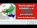 El género y el número en la protolengua ‹ Curso de lingüística indoeuropea