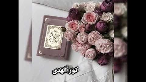 #سورة_يوسف#قرآن_الكريم# سورة يوسف🌻🌼🍃🍃 بصوت الشيخ ⚘رضوان العبسي ⚘بصوت جميل🍃🍃