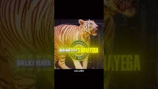 Msbeast Ka Sabse Crazy Edit