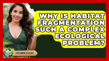 Why Is Habitat Fragmentation Such A Complex Ecological Problem? - Explaining Ecology