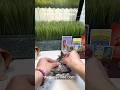 ASMR  Daily Double Tarot Draw 5/29/2026✨#tarot #dailytarot #thegeniecodeshop