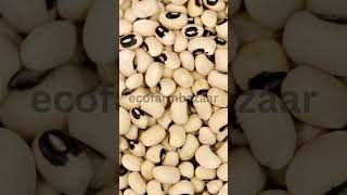 Premium Black Eye Beans | Cleaned &amp; Export Quality Pulses from India #food #trending #trendingshorts