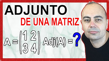 Cómo calcular el ADJUNTO de una MATRIZ ❇️ Paso a paso
