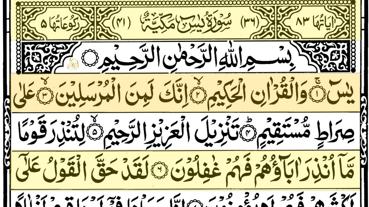 Surah Yaseen Surah Ar Rahman | Best Quran Recitation | Surah Yasin Tilawat | Episode_002