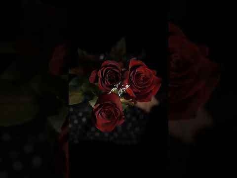 عنجد عنجد بقلك عنجد راغب علامة اغاني