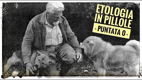 Cosa vuol dire il termine ETOLOGO?