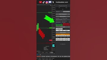 ninZa Bar Status Entry With Predator X #tradesaber #ninjatrader #ninzarenko