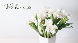 【買一把花】野薑花 瓶插 