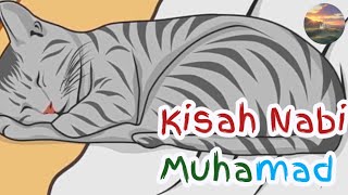 Kisah Nabi Muhammad dengan kucing nya Muezza Fiasfih