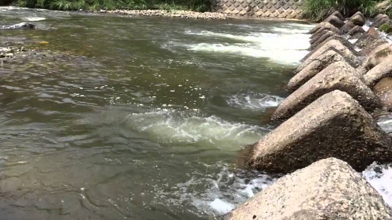 越後湯沢 魚野川上流部でルアーフィッシング 初夏の岩魚 Youtube