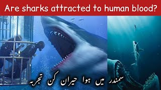 Human Blood VS Fish Blood |Shark Attack Test |