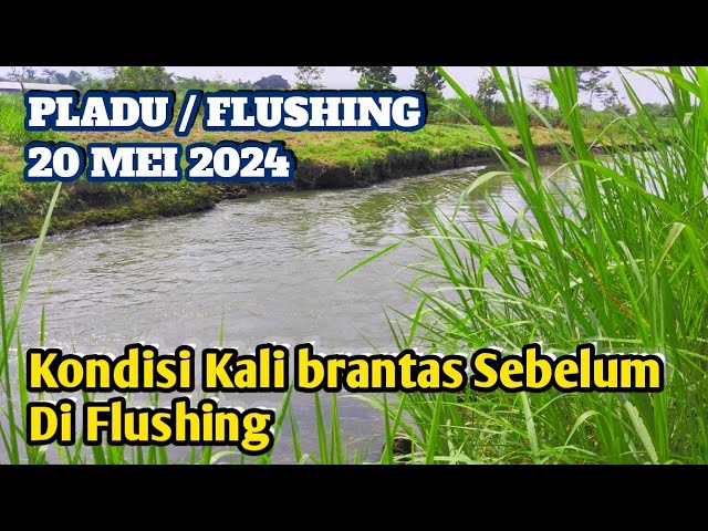 Flushing/Pladu 20 Mei 2024...Melihat Kondisi Kali Brantas Sebelum Flushing/Pladu class=