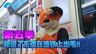 【Fursuit】A little excited seeing soft‑seat subway for the first time? When Luoluo appears on Metro screenshot 5
