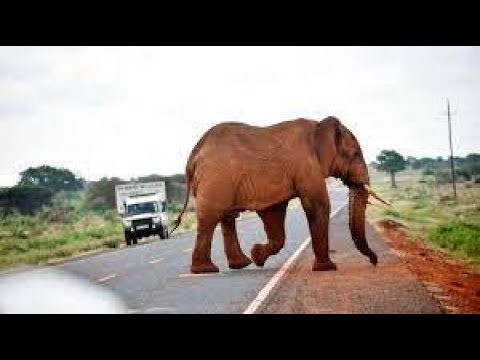 CITY TO CITY EPISODE NAIROBI TO MOMBASA DRIVE Soothing Music For Meditation Relaxation Sleeping