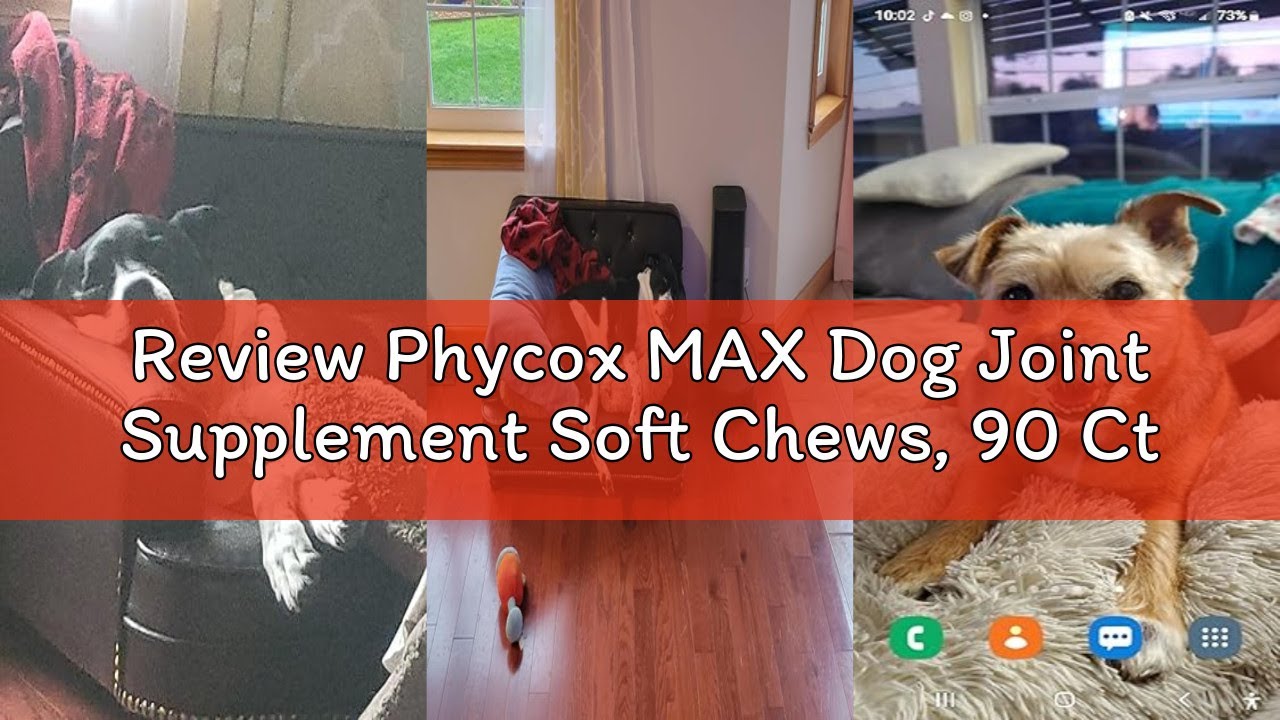 Review Phycox MAX Dog Joint Supplement Soft Chews, 90 Ct