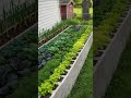 The Cinder Block Raised Garden Bed: A Durable and Productive Backyard Design #farming