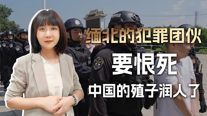 2349名诈骗犯移交中方，缅北的犯罪团伙，要恨死中国的殖子润人了 - 天天要闻