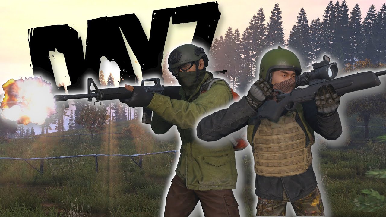 Dayz gun