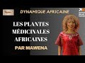 Dynamique africaine  les plantes mdicinales africaines par mawena