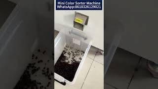 Mini Color Sorter Machine #colorsorter #sortingmachine #coffee #coffeebeans WA:8618326129021