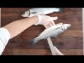 How to Fillet a Fish