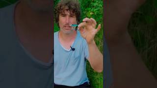 Rapfen Fangen Und Verwerten Teil 2 Die Besten Rapfenköder