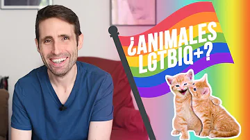 ¿Qué animales pueden ser LGBT?