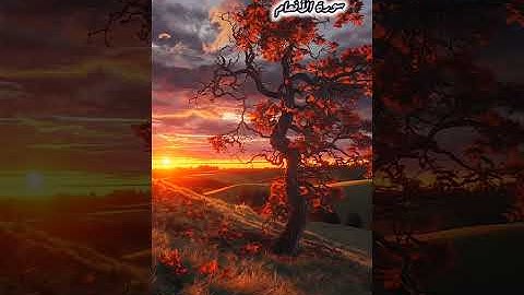 عالم الهدوء والراحة النفسية مع القارىء أحمد الشافعي بن إبراهيم الدمشقي سورة الأنعام ص١٣٠ 