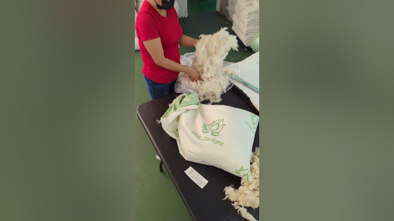 Washable and Waterproof Kapok Pillows WLHHQ YouTube