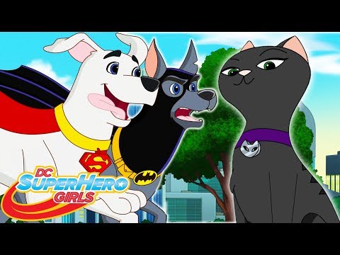 gone-to-the-dogs-part-2-|-408-|-dc-super-hero-girls