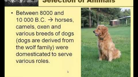 Bio 30 - Introduction To Genetics Part 1