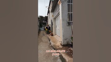 Đất gần đường Nguyễn Thị Tươi 100m #bandatdian #vinhalex #nhadatbinhduong #shorts