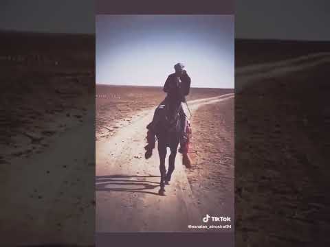 يا حبيبي يا محمد بدر العزي خيل