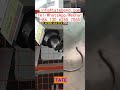 оборудование для гибки проволоки в наличии видео обзор Молдова оптовая продажа оборудование
