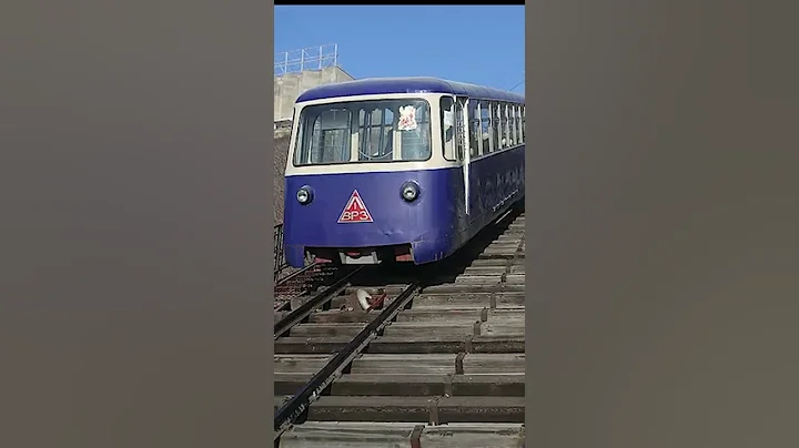 Not Everyone Hops on the Bus! Check out this cool transit from around the world. - DayDayNews