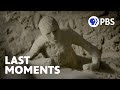 Pompeii Eruption and Human Response