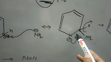 Chichibabin reaction CSIR-NET/JRF 2019,IIT-JAM