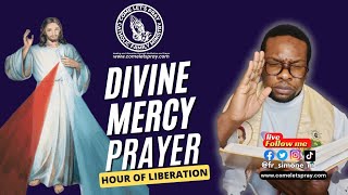 DIVINE MERCY LIBERATION PRAYER