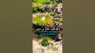 تلاوة خاشعة بصوت يريح القلب #elmulquranعلم #اكسبلور #تلاوة #المصحف #قران_كريم #trend #دويتو