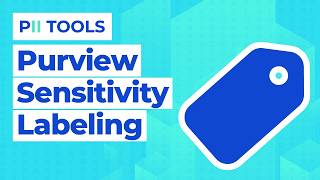 Frustrated with Microsoft Purview? Use This Instead