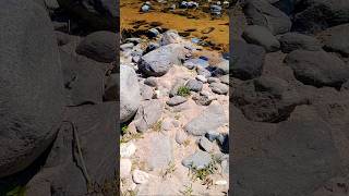 Maravilloso entorno, Río Pintos, Córdoba, Argentina.#sierrasdecordoba