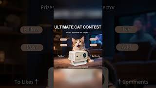 Ultimate Cat Contest